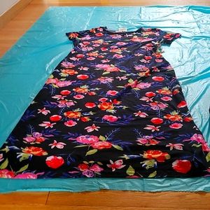 Ladies plus size dress